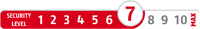 7 - SECURITY LEVEL